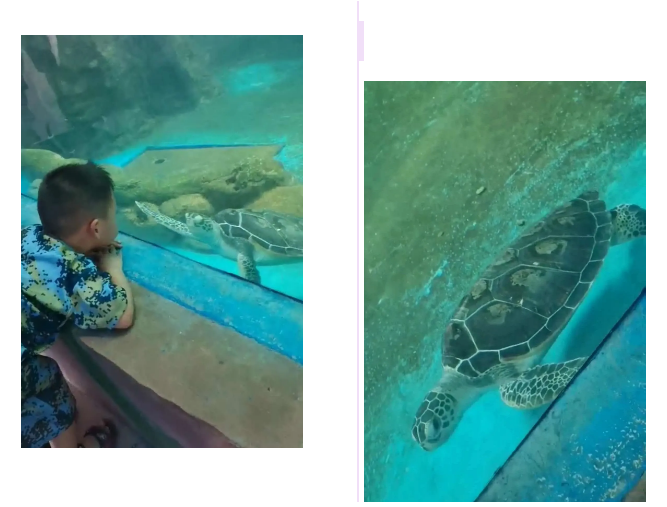 QQ截图20201109151857.png